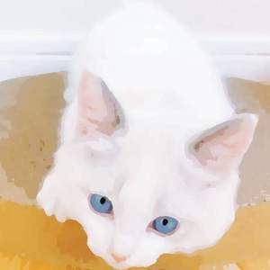 日本公妇乱伦xxxx
